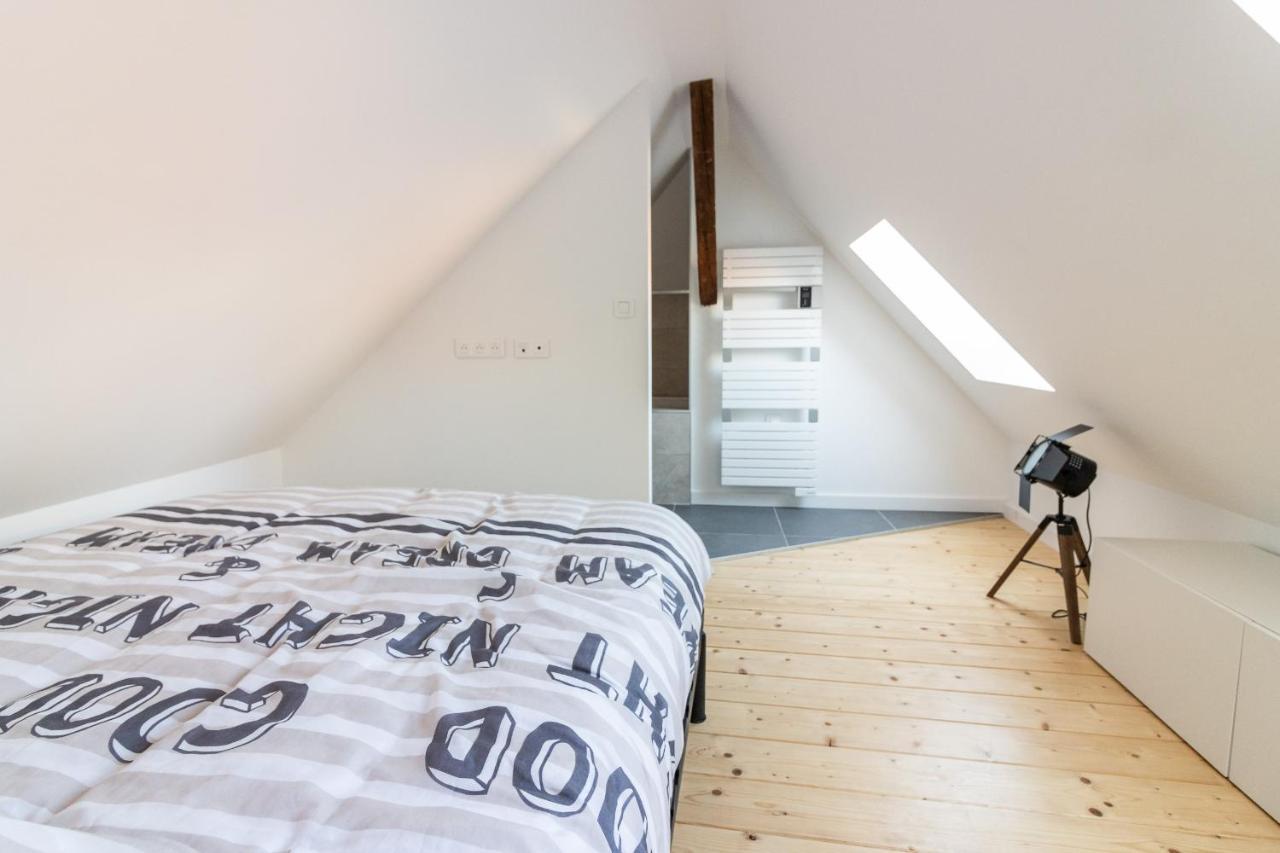 Magnifique Appartement Duplex Climatise De 40M² ナンシー エクステリア 写真